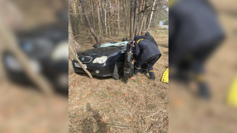 Батьки загинули, 10-річна дівчинка самотужки вибралася: подробиці падіння дерева на авто з людьми на Чернігівщині