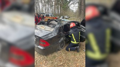 Батьки загинули, 10-річна дівчинка самотужки вибралася: подробиці падіння дерева на авто з людьми на Чернігівщині