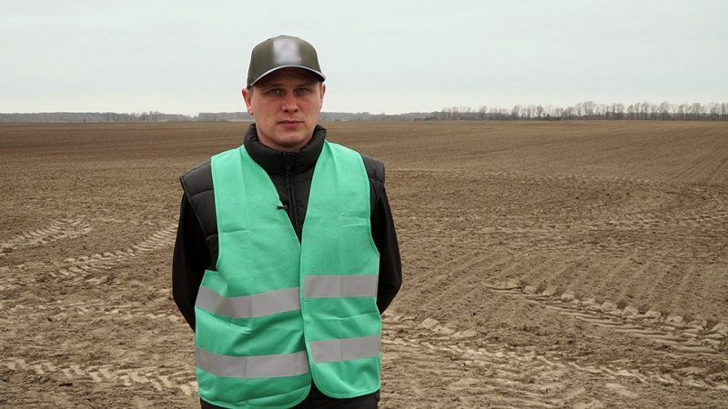 На Чернігівщині збільшили площі посіву сої та озимого ріпака: що впливає на роботу фермерів