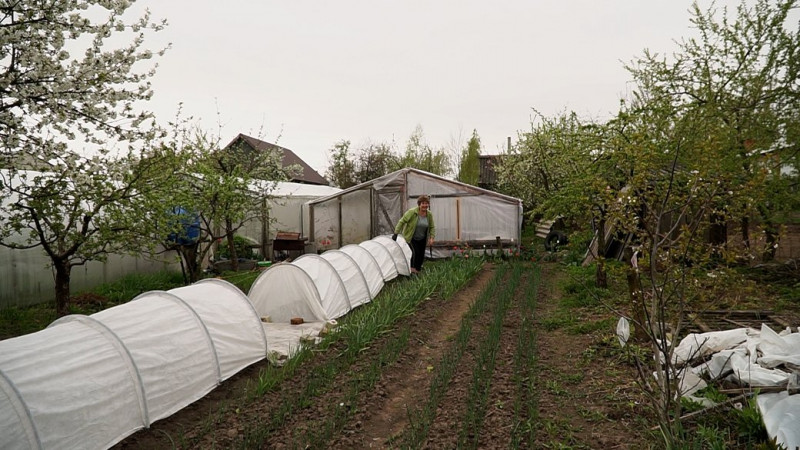 Вирощує овочі та допомагає військовим ЗСУ: як жителька з Киїнки відновила господарство після вторгнення росіян