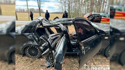 На Чернігівщині через падіння дерева на автівку загинули двоє людей