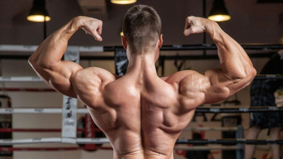 Фармакологические действия препарата Халотест