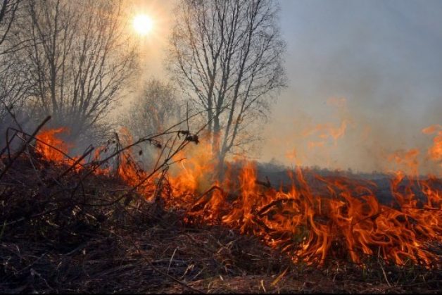 На Чернігівщині – надзвичайний рівень пожежної небезпеки: синоптики попередили про загрозу