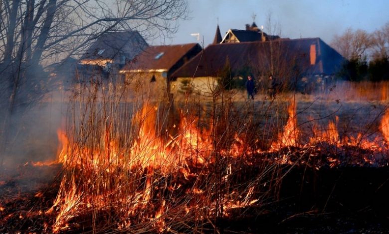 Рятувальники Чернігівщини закликають населення не спалювати суху рослинність