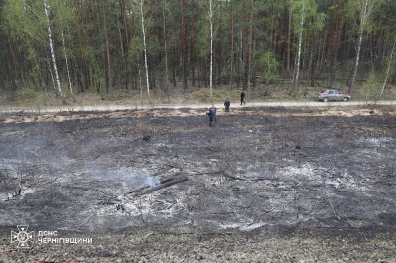 «Спіймали на гарячому»: на Чернігівщині склали протокол на палійку сухої трави