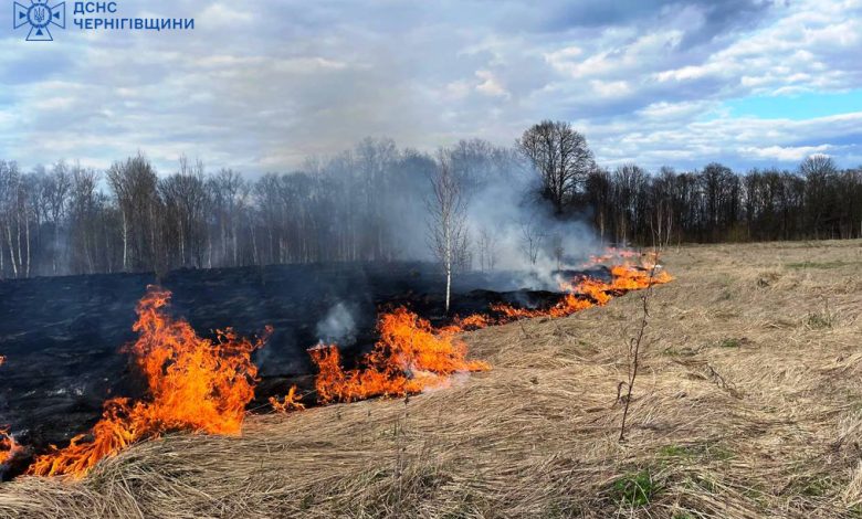 Упродовж минулої доби рятувальники Чернігівщини ліквідували 11 пожеж у природних екосистемах