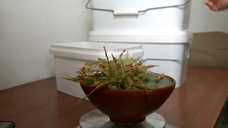 "У нас тут гречане царство": фермерка з Количівки, що біля Чернігова, вирощує органічну гречку