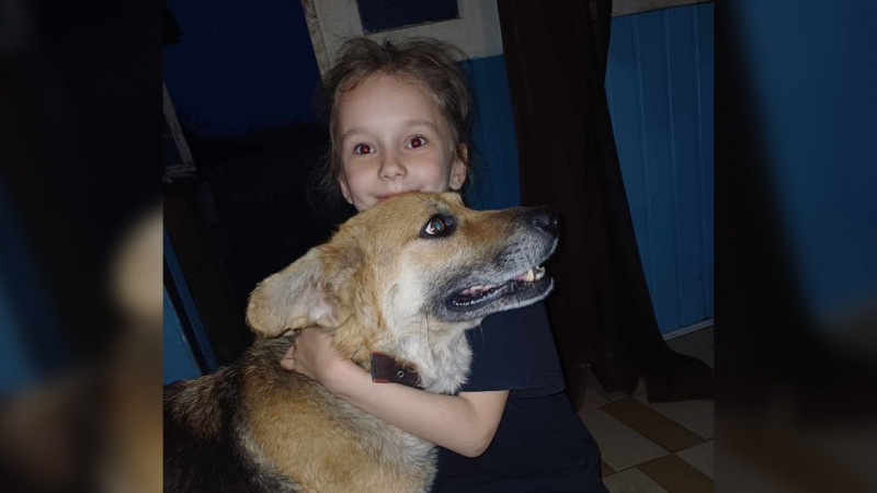 Собаку, якого у виснаженому стані забрали від жителя Носівки, передали у нову родину