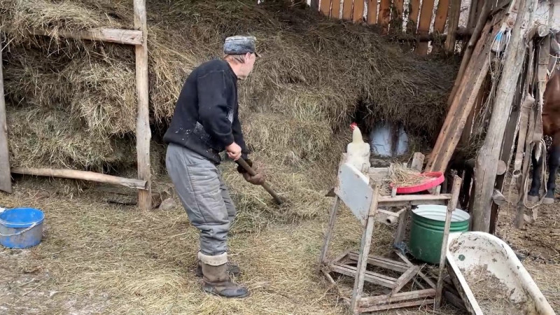 "Це для нас тихо": як живуть переселенці всередині прикордонної Семенівської громади на Чернігівщині