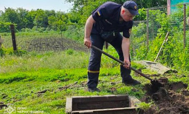На Чернігівщині рятувальники вивільнили з пастки корову (Фото)