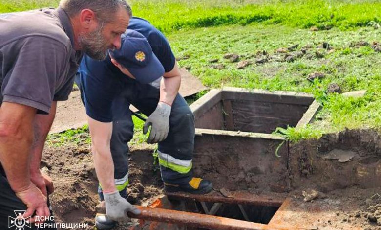 На Чернігівщині рятувальники вивільнили з пастки корову (Фото)