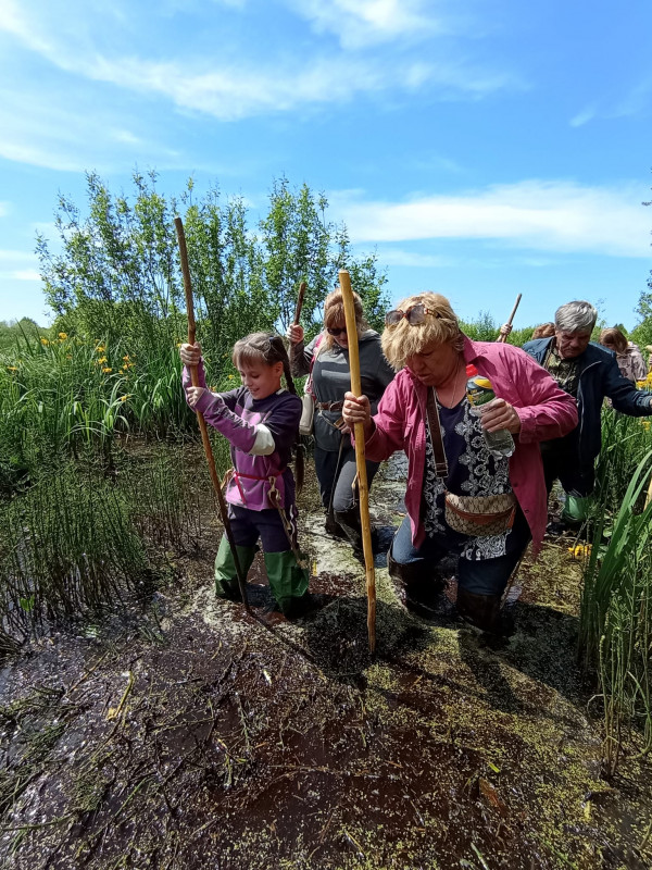 На Чернігівщині в розпалі сезон прогулянок болотами (Фото)