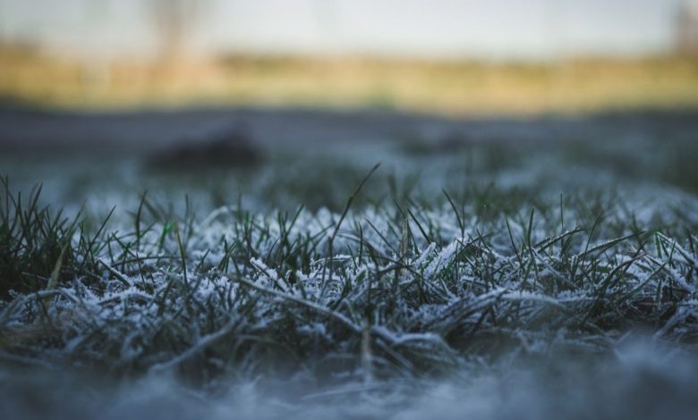 Нічні заморозки та прохолода триматимуться до початку наступного тижня: погода на найближчі дні на Чернігівщині