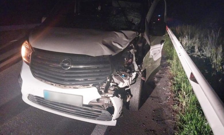 Пішохід загинув: на Чернігівщині автомобіль Opel Vivaro насмерть збив пішохода
