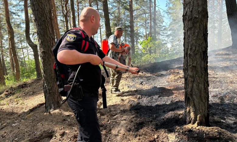 Поліцейський офіцер Остерської громади на Чернігівщині спільно з рятувальниками та лісничими загасили пожежу у лісі
