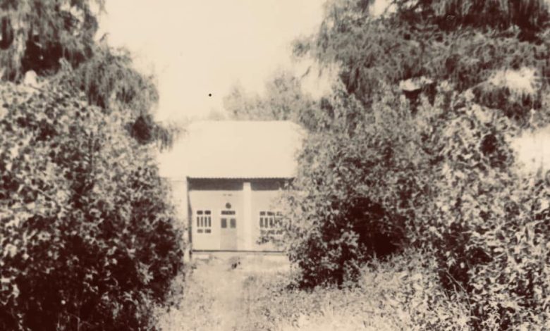 Садиби Подесення: історія маєтку родини Антіох-Вербицьких на Чернігівщині (Фото)