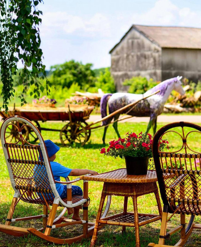Сезон смачнючої полуниці з грядки розпочнеться з середини травня: екоферма на Чернігівщині запрошує гостей (Фото)