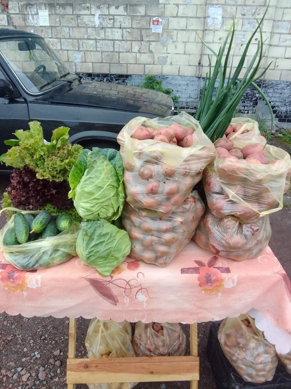У селищі Березна вже виростили та продають молоду картоплю (Фото)