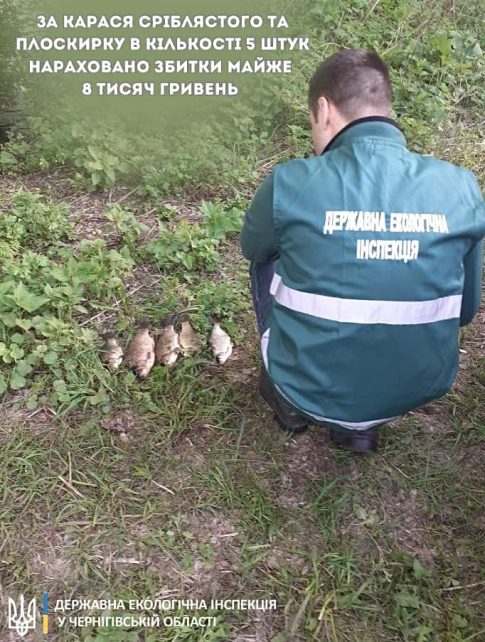 За 5 карасів і 5 плоскирок нарахували майже 8 тисяч гривень збитків: на Чернігівщині піймали браконьєра