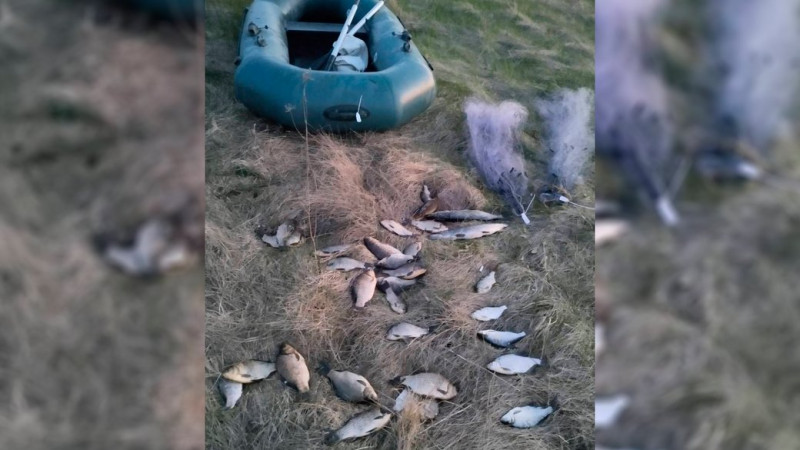 28 карасів, щуку та лина виловив на понад 49 тисяч гривень під час нересту місцевий житель на Чернігівщині