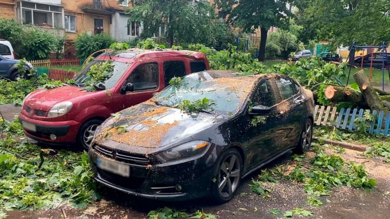 Наслідки негоди у Чернігові: містяни повідомляють про повалені дерева та пошкоджені авто