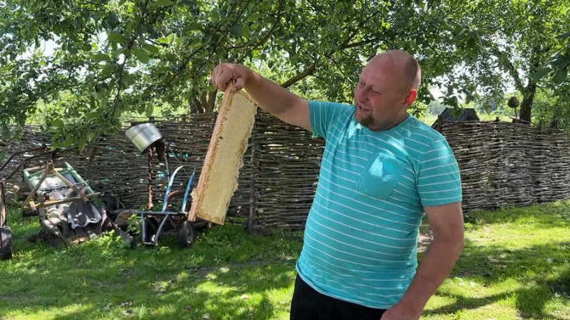 Замінила батька, поки він воює: як 22-річна жителька Чернігівщини доглядає пасіку з понад сотнею бджолосімей