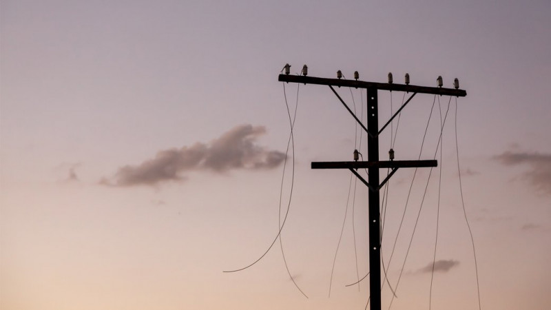 Через негоду на Чернігівщині понад 11 тисяч абонентів залишились без електропостачання