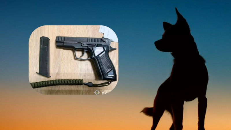 Чернігівцю, який вистрілив у собаку на автостоянці, оголосили підозру