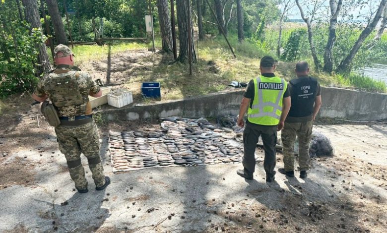 На Чернігівщині піймали браконьєра, який сітками виловив риби цінних порід на понад пів мільйона гривень