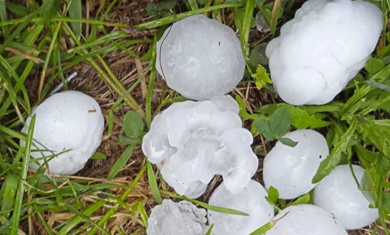 Понад 400 заяв від постраждалих: у Менській громаді досі встановлюють збитки, спричинені градом