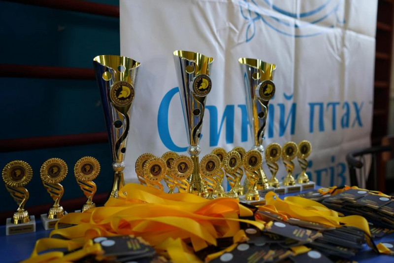 Розіграли 35 комплектів нагород: чемпіонат області з панкратіону відбувся в Чернігові