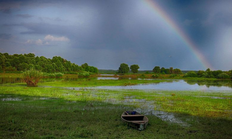 Унікальне село Деснянське (Фото)