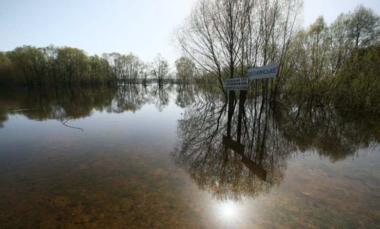 Унікальне село Деснянське (Фото)
