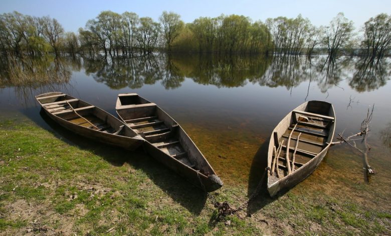 Унікальне село Деснянське (Фото)