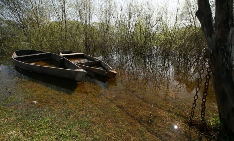 Унікальне село Деснянське (Фото)