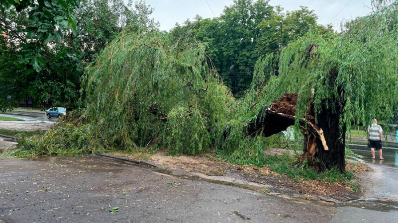 Прибирають повалені дерева та вивільнили авто: на Чернігівщині рятувальники ліквідовують наслідки негоди