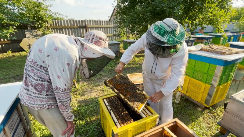 Підлаштовують доїння корів та скорочують виробництво сирів: як на Чернігівщині працює ферма під час відключень світла