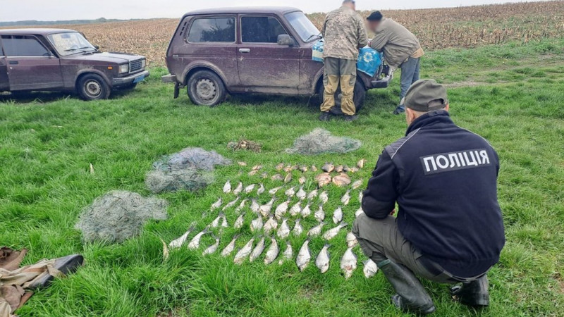 За час нерестової заборони рибалки на Чернігівщині виловили риби на понад 1,4 мільйона гривень