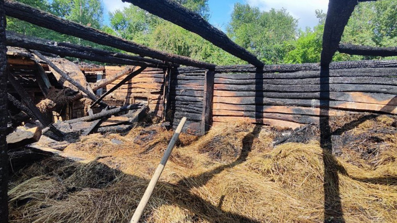 На Чернігівщині блискавка влучила у господарчу будівлю: знищило покрівлю та пошкодило стіни