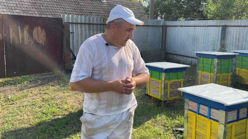 За рік один вулик в середньому приносить від 50 до 60 кг меду: як родина з Чернігівщини виготовила пасіку з очерету