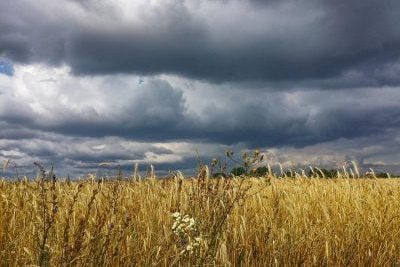 Грози і град: на Чернігівщину суне негода