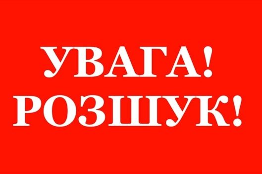 Розшукується зникла безвісти ніжинка