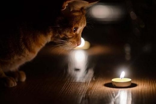 В обленерго показали графік погодинних відключень світла на сьогодні
