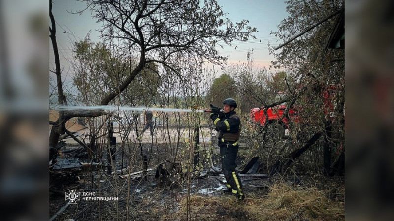 Горіло село і 70 гектарів у лісі: пожежу на прикордонні Чернігівщини, яка сталася внаслідок обстрілів, гасили до ранку