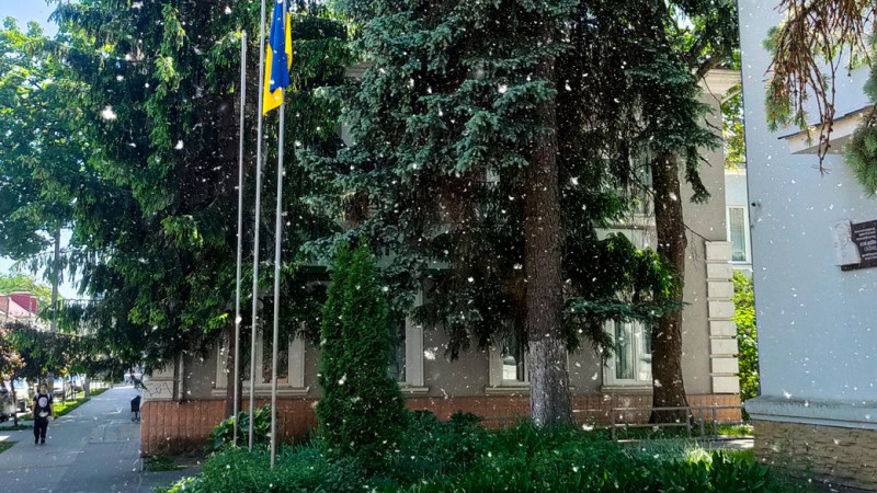 Сезонна алергія або поліноз: як не переплутати з ГРВІ та чи можна вилікувати, – пояснює лікарка