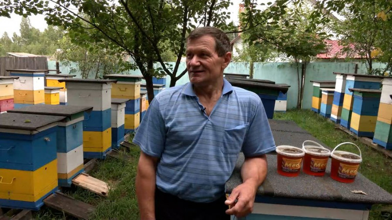 "Ціна на мед впала на третину, але ніхто за ним їхати сюди не хоче": як пасічникує житель Чернігівщини біля кордону з РФ
