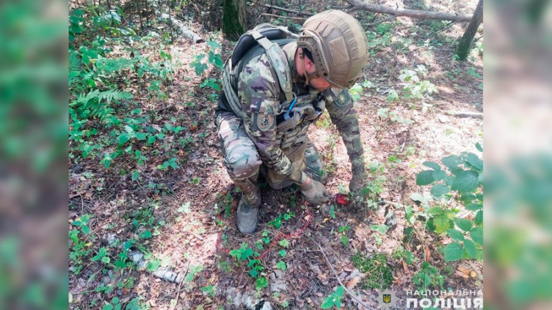 На Чернігівщині вибухотехніки знешкодили бойову частину російського безпілотного літального апарату