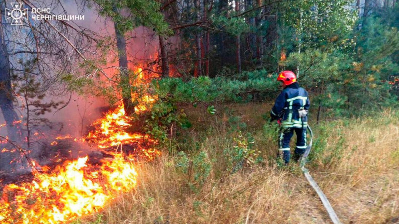 На Чернігівщині через пожежі в екосистемах вигоріли майже 55 гектарів землі