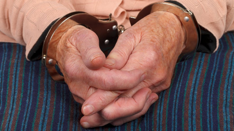 5 років тюрми за шахрайство з будинком для Плисківської сільської голови на Чернігівщині, — вирок суду