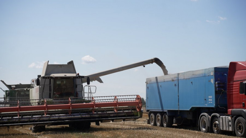 На день молотять понад дві тисячі тонн зерна: на Чернігівщині завершується збір врожаю ранніх зернових